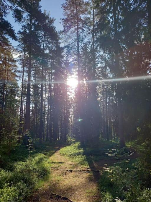 Mysig Stuga I Naturskoent Omrade. فيتلاندا المظهر الخارجي الصورة